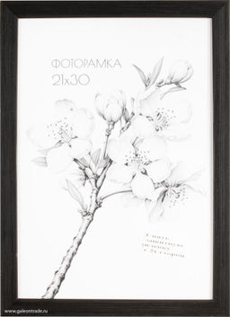 Фоторамка 21х30 с акриловым стеклом / 2004D-012C /уп10 ф - ГалеонТрейд фото 2