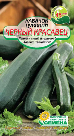 Черный красавец кабачок цуккини 1г (ссс) Р