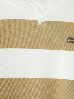 Bisiklet Yaka ?izgili Erkek ?ocuk Sweatshirt
