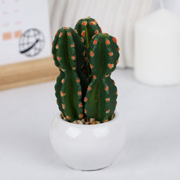 Цветочная композиция Кактус / WER-10 /уп 12/192/ микс