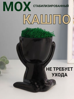 Стабилизированный мох в кашпо из керамики Мистер Грин любитель тишины, 11.5109 см, чёрный