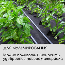 Материал для ландшафтных работ, 5×1.6 м, плотность 90 г/м², спанбонд с УФ-стабилизатором, чёрный, Greengo, Эконом 30%