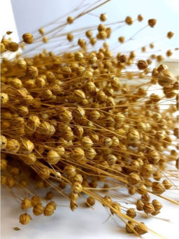 Лен натуральный, пучок 60г, 60 колосьев, h 60-70см