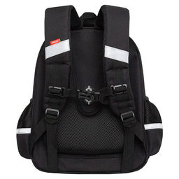 RAz-587-7 Рюкзак школьный - Grizzly фото 27