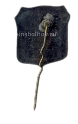 Значок Господин Великий Новгород