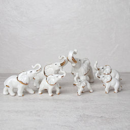 Статуэтка Слоны набор 7 штук / B999 /уп 12/ - Галеонтрейд фото 6