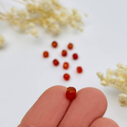 Бусины для украшений из Сердолика (10 шт)