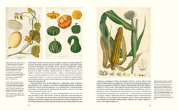 Выдающиеся растения, которые изменили нашу жизнь. Байнум Х., Байнум У.