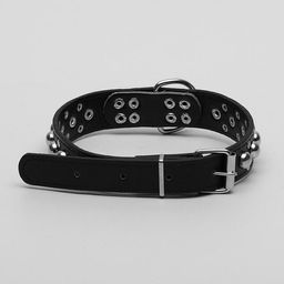 Ошейник Сириус, кожзам с заклёпками, 56 х 3 см, ОШ 42-52, чёрный - Пижон фото 2