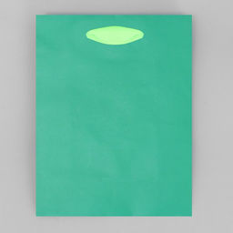 Цена за 2 шт. Пакет подарочный двухцветный, упаковка, «Зеленый-салатовый», S 12 х 15 х 5.5 см