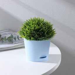 Цена за 3 шт. Горшок для цветов с прикорневым поливом «Альянс», 0.4 л, d=10 см, h=8.5 см, пластиковый, голубой