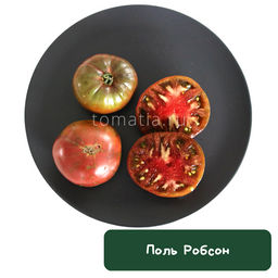 Поль Робсон - Tomatia фото 2