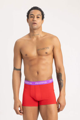 Комплект боксеров стандартной посадки (3 шт.) - Defacto фото 2