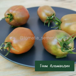 Гном Альмандин