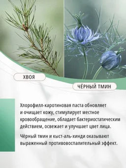 Маска для лица от акне и застойных пятен для проблемной кожи Tahira - Guriya фото 6