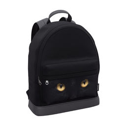 Цена за 1 шт. Рюкзак ErichKrause StreetLine с отделением для ноутбука 17L Black Cat
