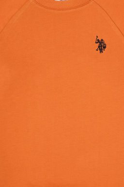 Erkek _ocuk Bak_r Basic Sweatshirt Sepette S_rpriz _ndirim - U.s. polo assn фото 3