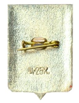 Значок Старая Русса