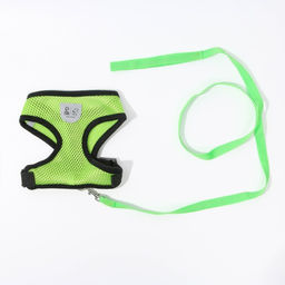 Шлейка дышащая с поводком и светоотражающей нашивкой, S, ОШ 27, ОГ 30-38,зеленая - Пушистое счастье фото 3