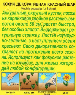 Кохия Красный шар 0,1г (Аэлита)