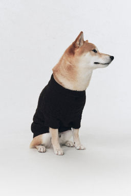 JERSEY CON LANA MASCOTAS SOSHIOTSUKI x ZARA / Chocolate