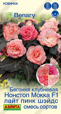 Бегония клубневая Нонстоп мокка F1 лайт пинк шэйдс, смесь сортов (2029