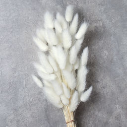 Сухоцвет 60 штук набор 68 см Лагурус / SG-005 /уп 300/белый - Галеонтрейд фото 3