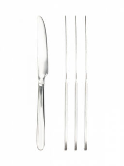 Набор столовых приборов 16 шт. серебро нержавеющая сталь - Lucky фото 5