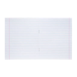 Набор тетрадей 24 листа в линейку «Зелёная обложка», белые листы, 20 шт.