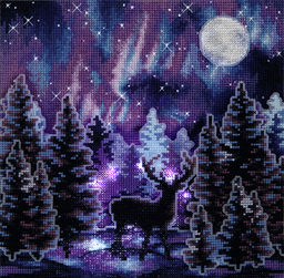 Набор для вышивания PANNA PS-7413 Звездная ночь 21 х 21 см