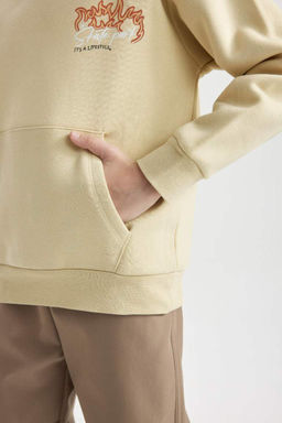 Бежевый плотный свитшот обычного кроя с капюшоном и принтом на спине для мальчиков - Defacto фото 6