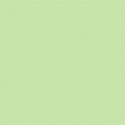 VISTA-ARTISTA Бумага цветная MFO-AA 300 г/м2 50 х 70 см 25 шт. 01 белый/white