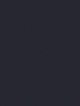 Шапка жен. шерсть+акр LB-A53053 black