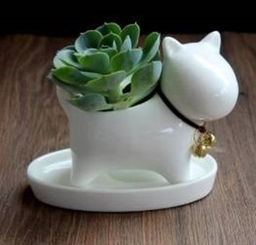 Кашпо 11,3х6,3х8,6 Собачка / XN09 /уп 72/ - Галеонтрейд фото 2