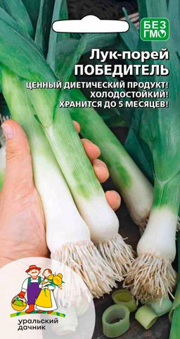 Лук порей ПОБЕДИТЕЛЬ