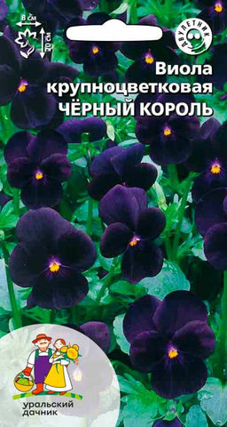 Виола ЧЁРНЫЙ КОРОЛЬ