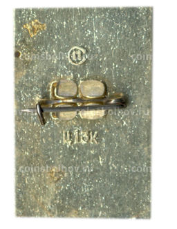 Значок Горький