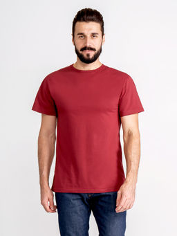 Футболка мужская короткий рукав GREG G145-RD-1061_R (бордовый)  фото 6