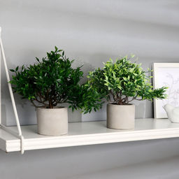 Искусственный цветок в горшке «Фрутикоса пышная», 14×20 см, МИКС