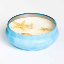 Ароматическая свеча в банке «Морской бриз», из соевого воска с сухоцветом, 3×8.5 см, 110 г