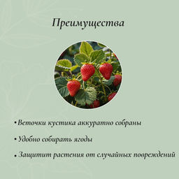 Цена за 10 шт. Кустодержатель для клубники, d=20 см, h=25 см, ножка d=0.3 см, металл, зелёный, Greengo  фото 4