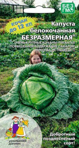Капуста БЕЗРАЗМЕРНАЯ  Чудо велки-гиганты! Повышенное содержание сахаров! Всегда с урожаем!