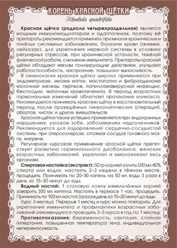 Красная щётка (корень цельный) - Мариславна фото 3