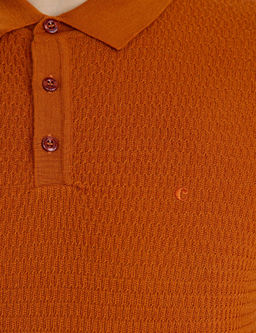 Свитер из полушерстяного трикотажа с воротником-поло стандартного кроя плитки - Cacharel фото 6
