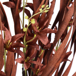 Сухоцвет набор 5 штук 155 см коричневый / 22-13 /уп 30/ - Галеонтрейд фото 2