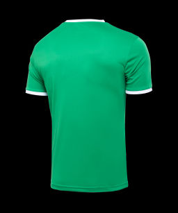 Футболка футбольная JOGEL CAMP Origin, зеленый/белый, детский