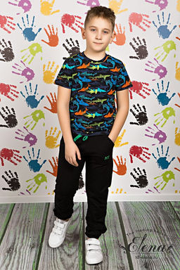 Брюки М22115ВШа Черный