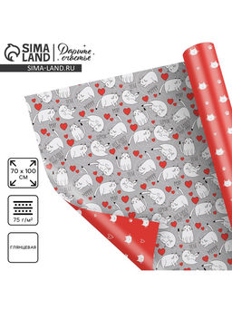 Цена за 10 шт. Бумага упаковочная глянцевая двухсторонняя Коты, 70?100 см