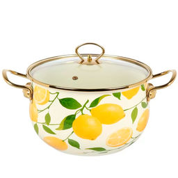 Кастрюля эмал сталь, 5 л, крышка стекло, Лимоны, Y4-11369 индукция (513825)