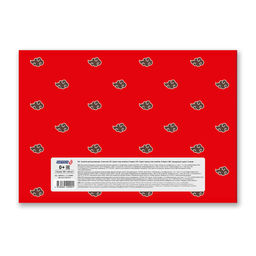 Светоч 8АЛСК4_1_3_9 Альбом для рисования 100 г/м2 A4 29 х 20.5 см 20 шт. на скобе 8 л. 000679 Райдер  фото 25